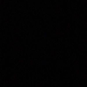 Meet your Posher, Darwin